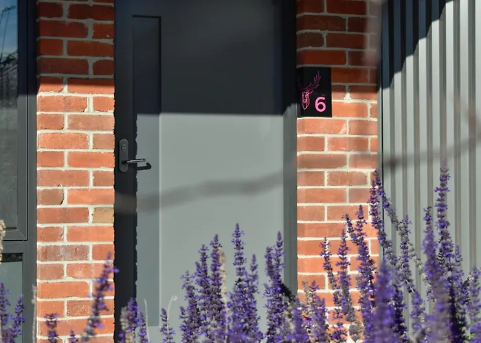 Family Hotel: Daylesford Art Motel